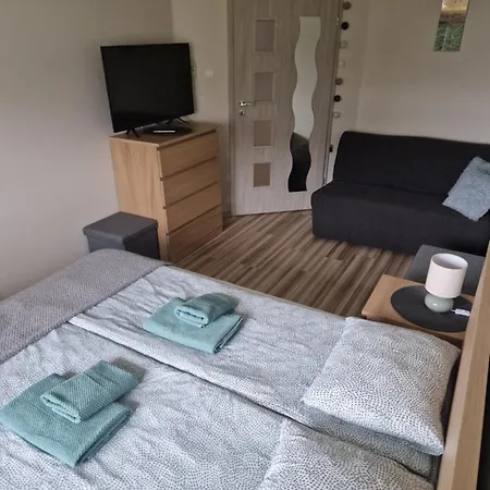 Angel Lejlighed Władysławowo