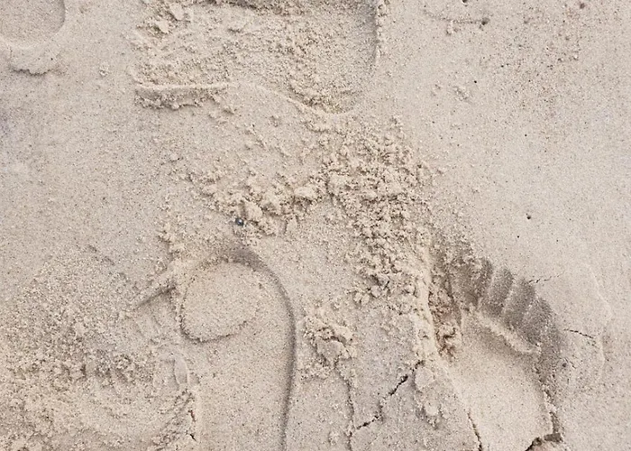 Angel * Władysławowo